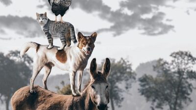 teamwork