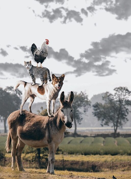 teamwork
