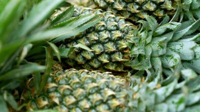 organic food