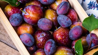 organic food
