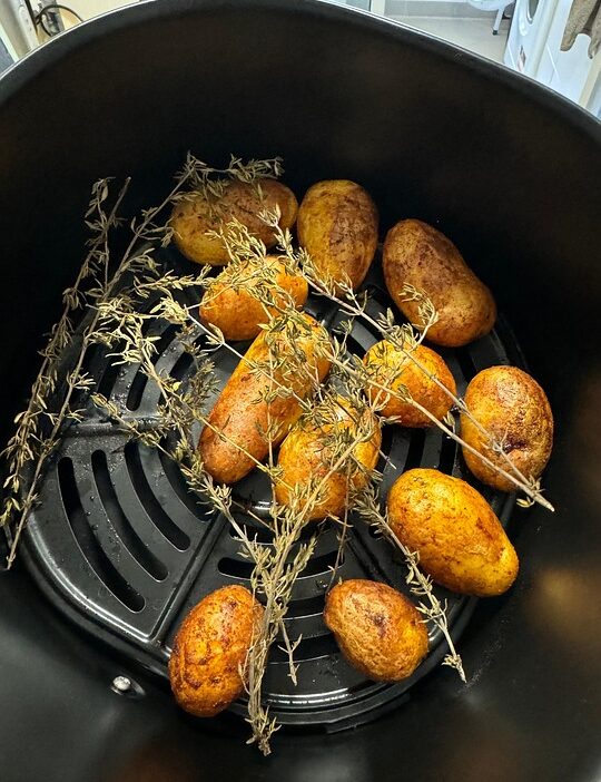 air fryer