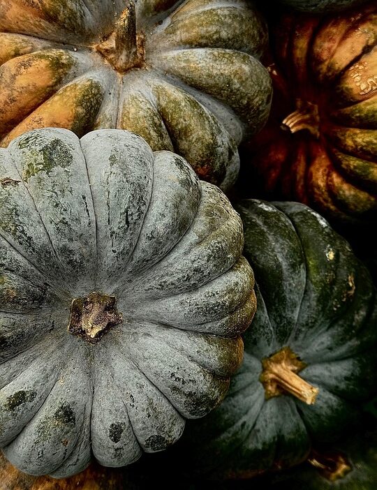 seasons