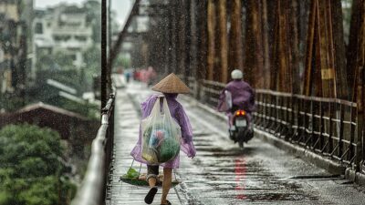 seasons