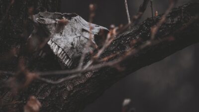 horror games