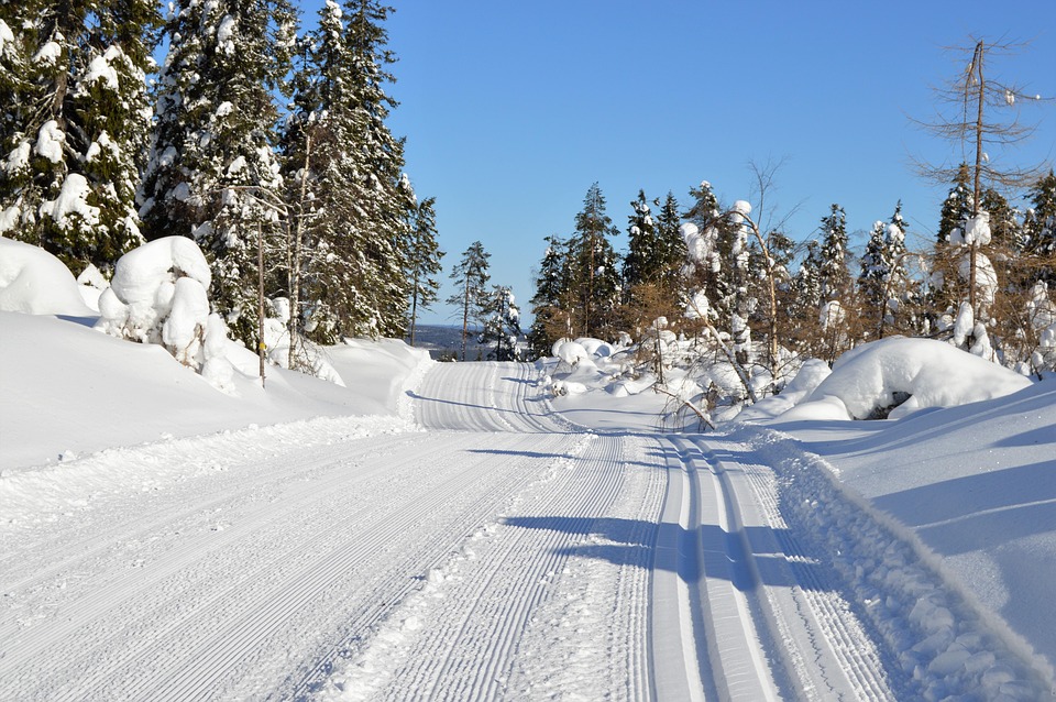 skiing