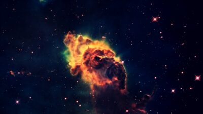 Stars