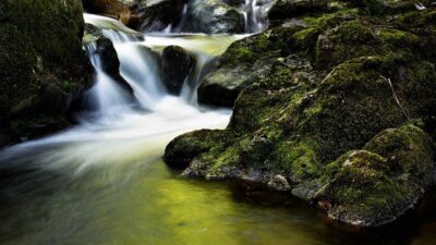 stream