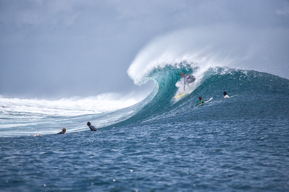 surfing