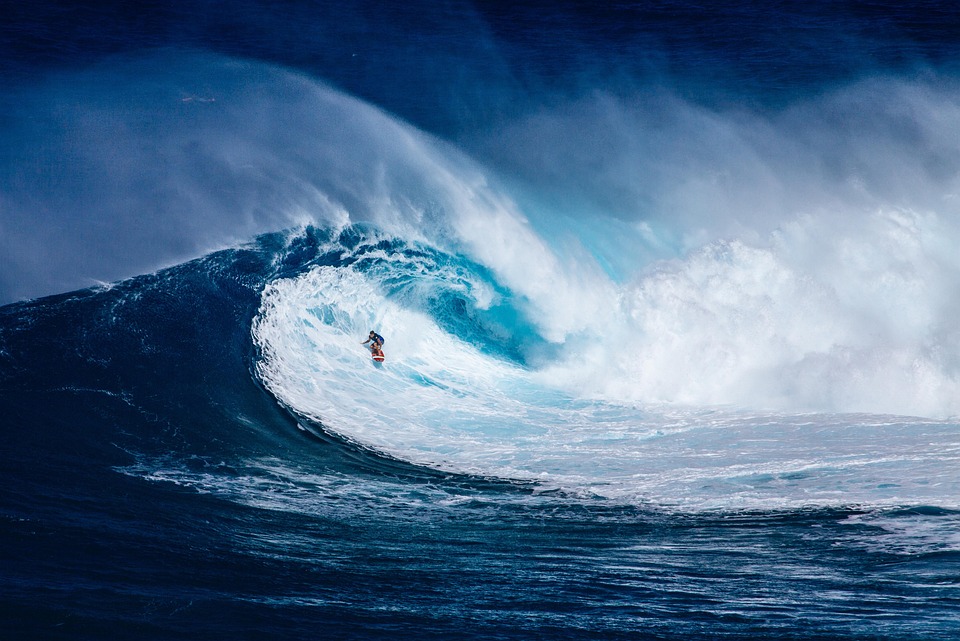 surfing