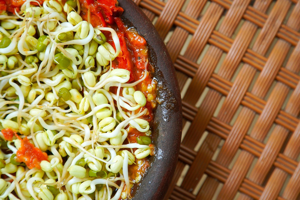 food recipes