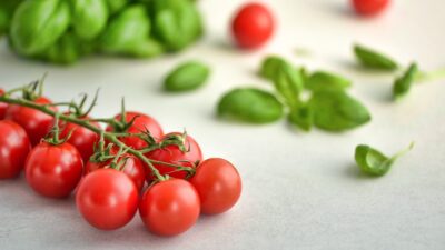 italian food
