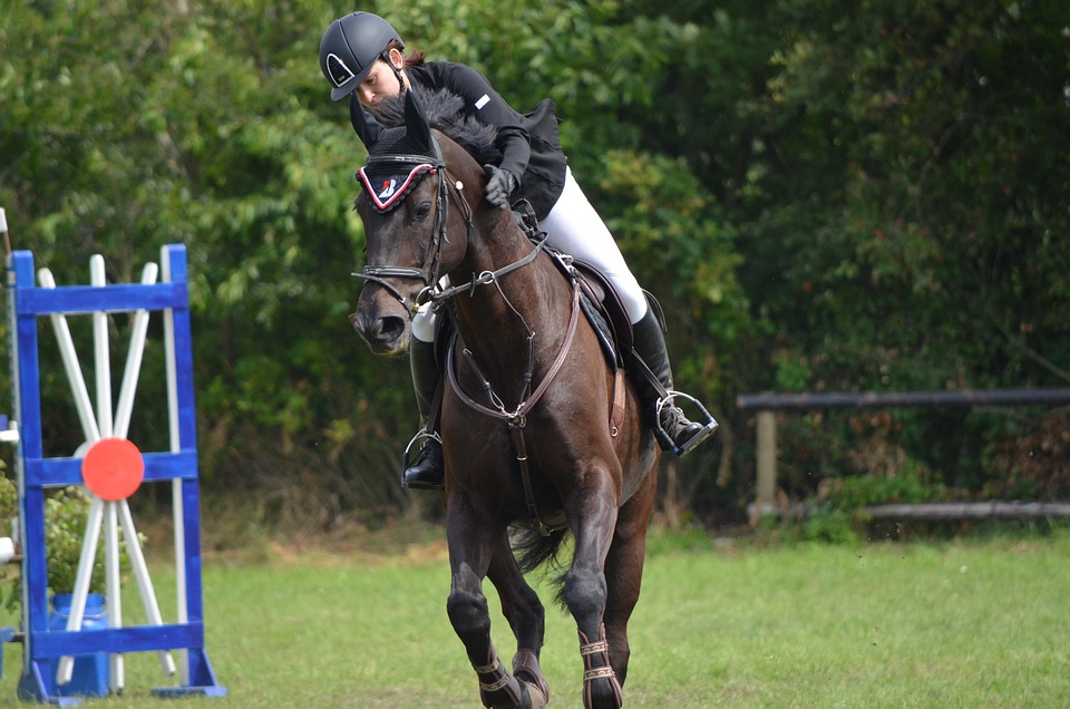 tournament