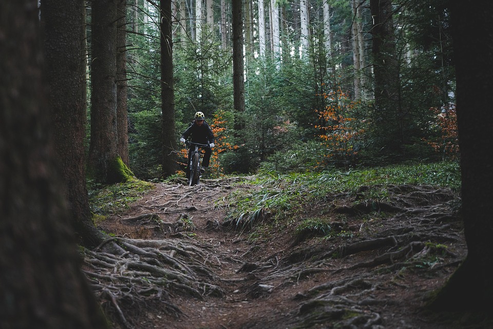 cycling