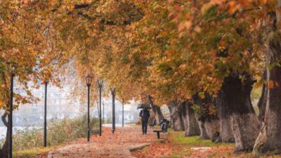 seasons