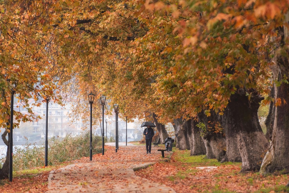 seasons