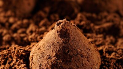 food photography