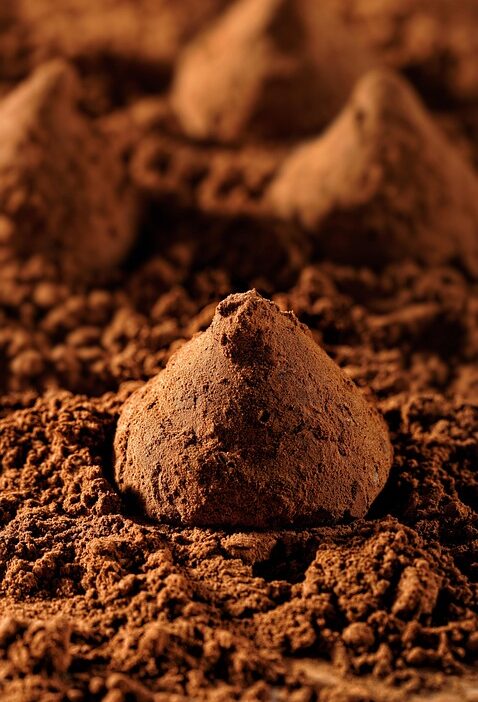 food photography