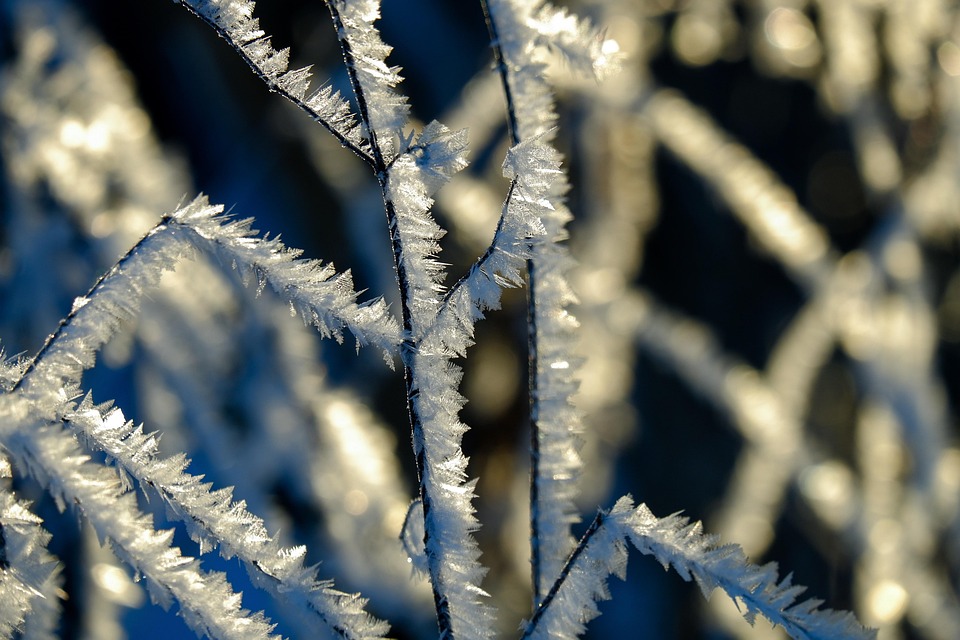 seasons