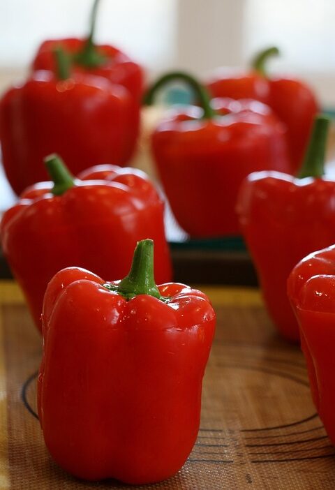recipes