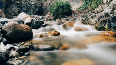 streaming games