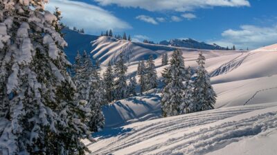 skiing