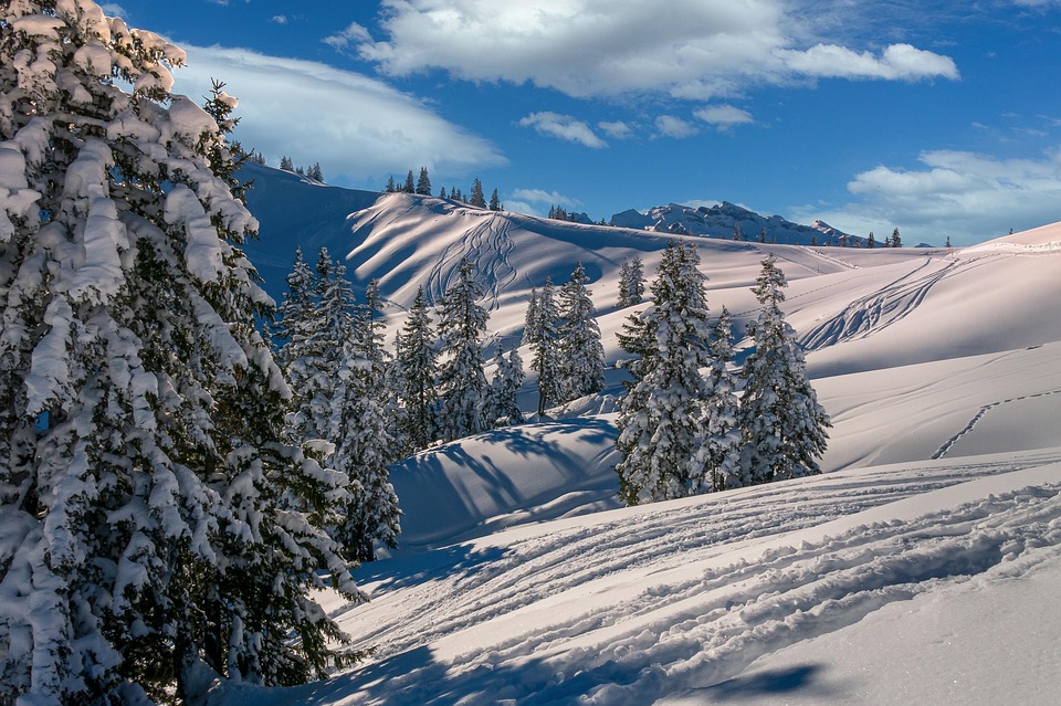 skiing