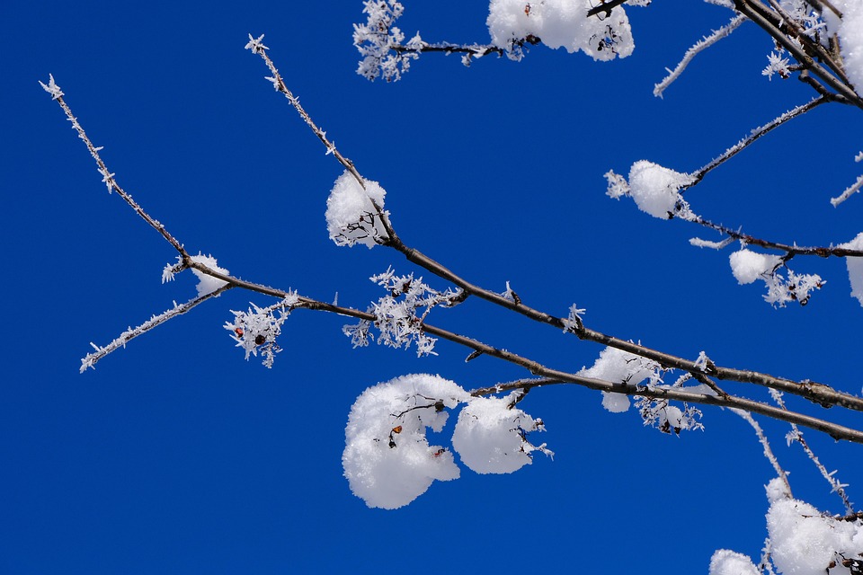 seasons